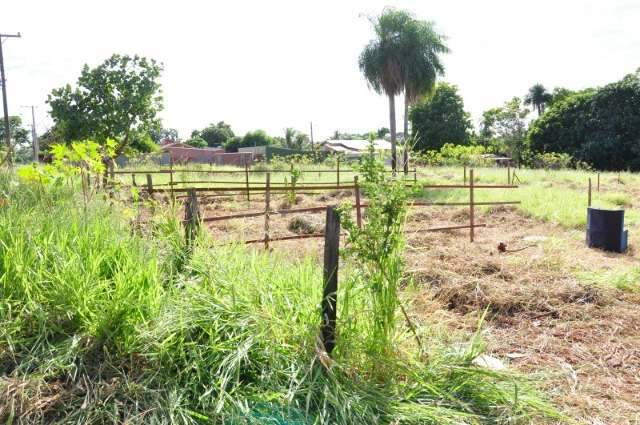 Fam&iacute;lias s&atilde;o retiradas de terreno no mesmo dia de invas&atilde;o