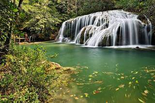 Cachoeira da Estância Mimosa, em Bonito, um verdadeiro aquário natural (Foto: Divulgação)
