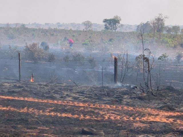 Incêndio atinge área de eucalipto próximo à siderúrgica na BR-262