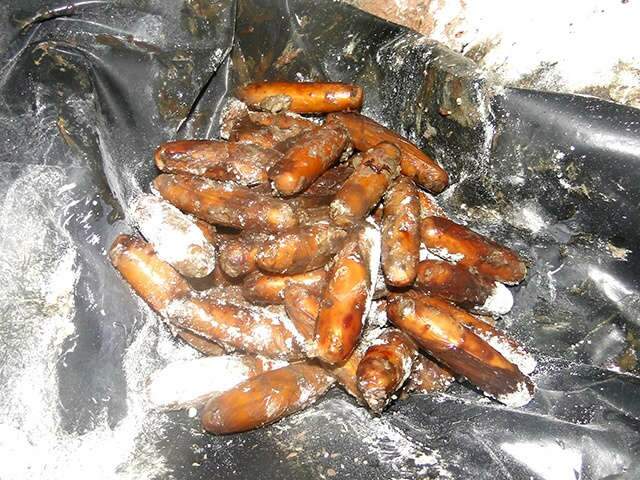  Corpo que tinha coca&iacute;na no est&ocirc;mago &eacute; enterrado sem identifica&ccedil;&atilde;o