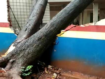 Sem dar trégua, chuva derruba árvore sobre escola do Sesc