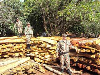 A fazendeira derrubou várias árvores, sem autorização ambiental, das espécies faveiro e angico. (Foto: divulgação)