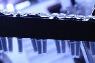 Doses fabricadas por laboratório francês começaram a ser vendidas no início do mês (Foto: Sanofi Pasteur/Divulgação)