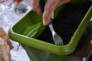 Afofar e tampar as sementes plantadas é o útlimo passo antes de molhar a terra.  (foto: Thaís Pimenta)