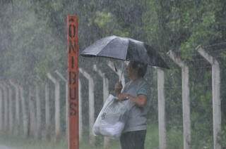 Sem coberturas nos pontos de ônibus, usuários são obrigados a esperar na chuva. (Foto: Alcides Neto)