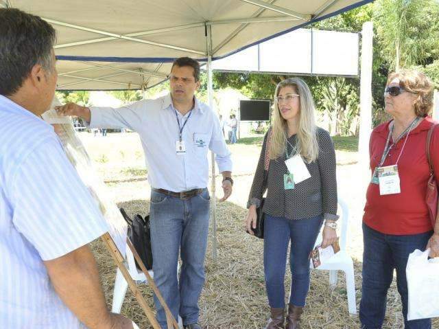 Cultivo de maracuj&aacute; doce contribui para aumento de renda na agricultura familiar