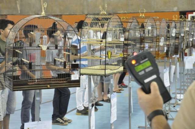 Competi&ccedil;&atilde;o leva 400 aves cantoras ao Moreninho