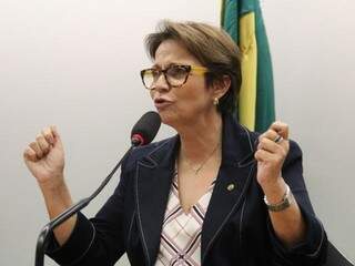 Deputada Tereza Cristina vai liderar bancada na Câmara. (Foto: Assessoria)