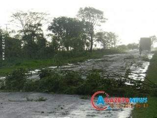 Árvores foram derrubadas pela força do vento e bloquearam rodovia parcialmente (Foto: A Gazeta News)