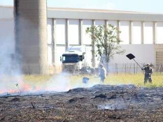 Militares do Corpo de Bombeiros usando abafadores para conter chamas em vegetação (Foto: Marina Pacheco)