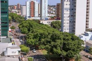 As árvores decoram o canteiro central da Avenida Afonso Pena (Foto: Arquivo CGNews)
