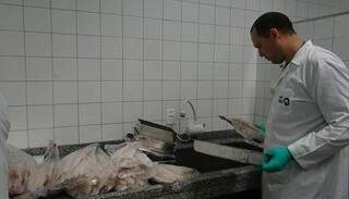 Marcas Penha Pescados, Costa Sul e Vitalmar tiveram mercadorias reprovadas na fiscalização (Foto: Divulgação)