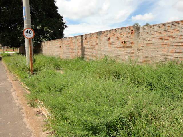  Leitor denuncia mato alto em ponto de &ocirc;nibus, no Carand&aacute; Bosque