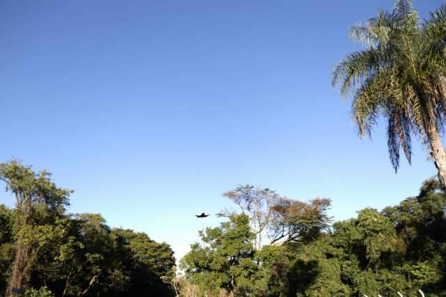 Temperatura come&ccedil;a a subir no Estado a partir de hoje, indica Inmet