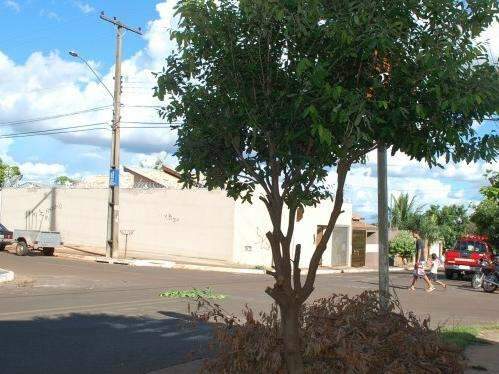 Batida fere tr&ecirc;s em cruzamento com placa escondida atr&aacute;s de &aacute;rvore