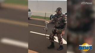 Lagarto fica preso em grade de condom&iacute;nio e &eacute; resgatado por policiais militares