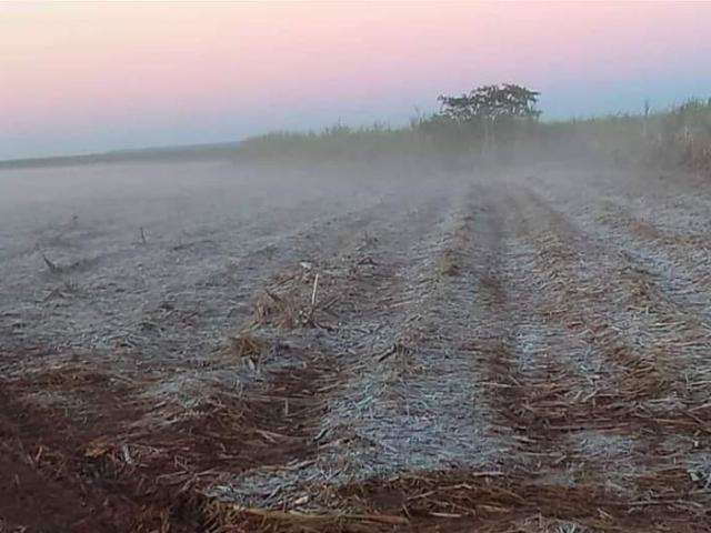 Dia mais frio do ano tem temperatura negativa e geada forte em MS