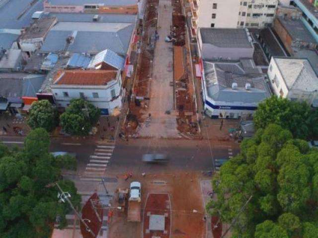 Jardim na selva de pedra: Rua 14 de Julho ter&aacute; 28 ip&ecirc;s, guavira e jacarand&aacute;