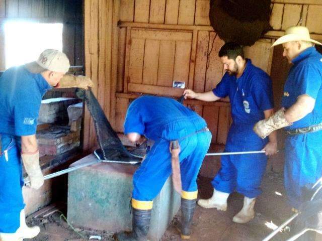 Com ocorr&ecirc;ncia em 10 munic&iacute;pios, n&uacute;mero de focos de raiva triplica