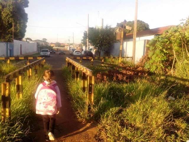 Leitor denuncia mato alto ao lado de escola na Vila Eliane