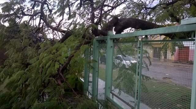 Frente fria e baixa press&atilde;o derrubaram temperatura &agrave; casa dos 15&ordm;