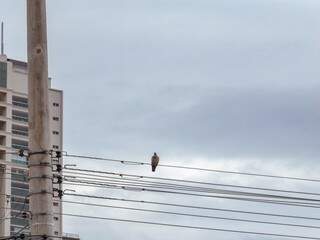 Céu nublado na manhã desta terça-feira em Campo Grande (Foto: Henrique Kawaminami)