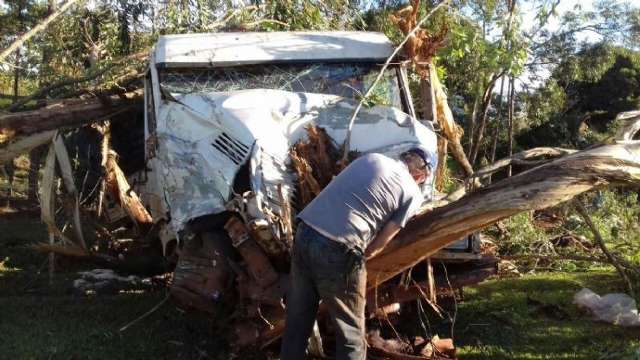 Dire&ccedil;&atilde;o quebra, carreta perde controle e s&oacute; para ap&oacute;s bater em &aacute;rvores