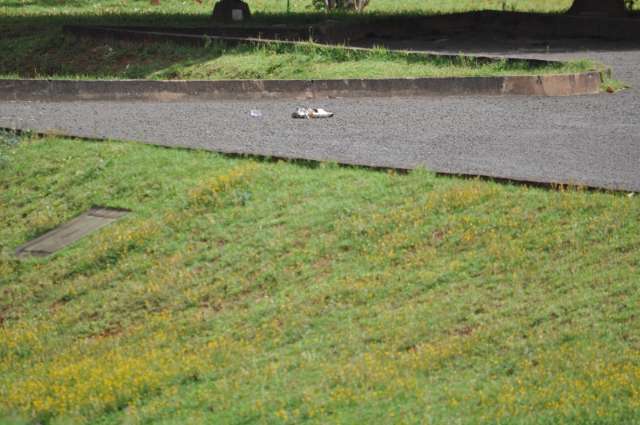 Bomba s&oacute; causaria fuma&ccedil;a, calor e susto no dia da posse, aponta per&iacute;cia