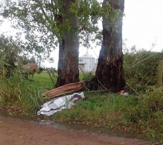 Irm&atilde;o de vereador morre ao cortar eucalipto em fazenda onde morou por 30 anos