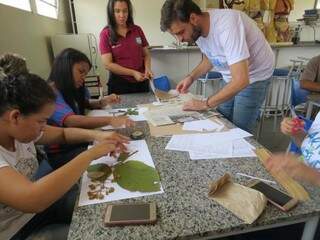 Os alunos analisando as folhas para o trabalho de identificação (Foto: Arquivo/E.M.Agrícola Gov. Arnaldo Estevão de Figueiredo)