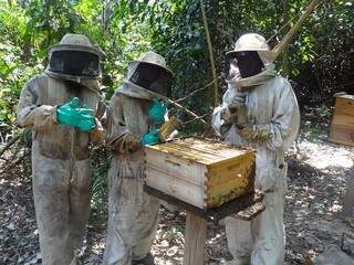 Apicultores durante manejo de colmeias no Pantanal. Projeto busca acabar com desaparecimento das populações de abelhas. (Foto: Divulgação/ Ecoa)