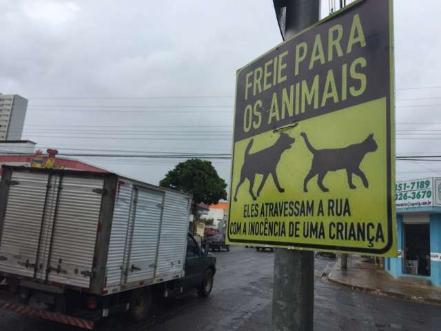 Preocupado com animais de estima&ccedil;&atilde;o, Vanildo faz placa de alerta