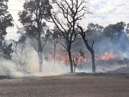 Com alerta de tempo seco, MS registra 104 incêndios no fim de semana