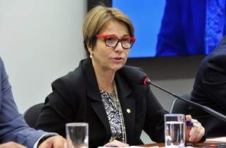 Deputada Tereza Cristina disse que vai participar da reunião (Foto: Luis Macedo / Câmara dos Deputados)