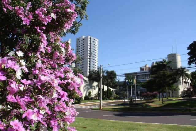 Domingo amanhece ensolarado, sem previs&atilde;o de chuva em Campo Grande