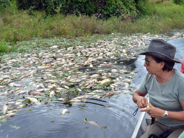  Relat&oacute;rio preliminar do Imasul aponta falta de oxig&ecirc;nio no Rio Negro