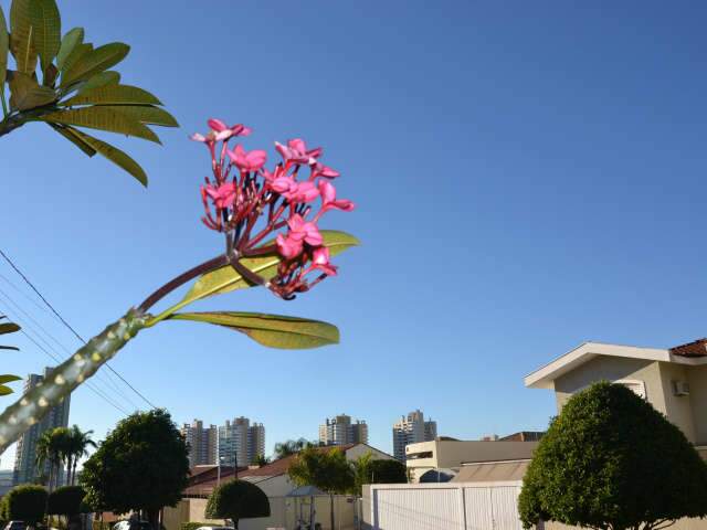  Dia amanhece com m&iacute;nima de 9&ordm;C; m&aacute;xima n&atilde;o passa dos 22&ordm;C
