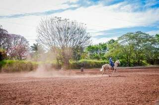 Paraíso da Tamandaré - O rastro de beleza que a poeira forma vindo do cavalgar do cavalo. (Foto e legenda de Vanessa Tamires)