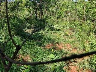 Local onde corpo de adolescente foi encontrado (Foto: Henrique Kawaminami)