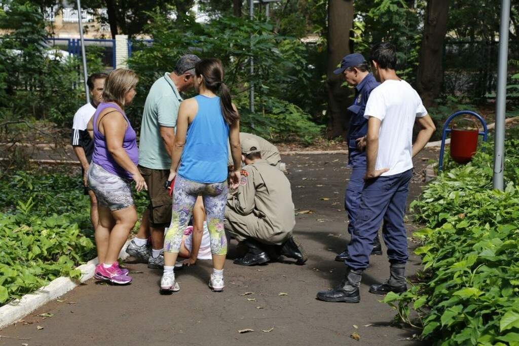 Árvore De Grande Porte Cai Em Pista De Caminhada Causa Pânico E Mulher Se Fere Capital