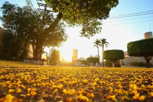 Quarta-feira ser&aacute; mais um dia seco e m&aacute;xima atinge 40&ordm;C em MS