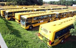 ônibus serão entregues pelo governador e a presidente na próxima segunda-feira (Foto: Divulgação)