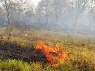 Forte calor pode ter causado incêndio em reserva indígena (foto: Sidrolândia News)