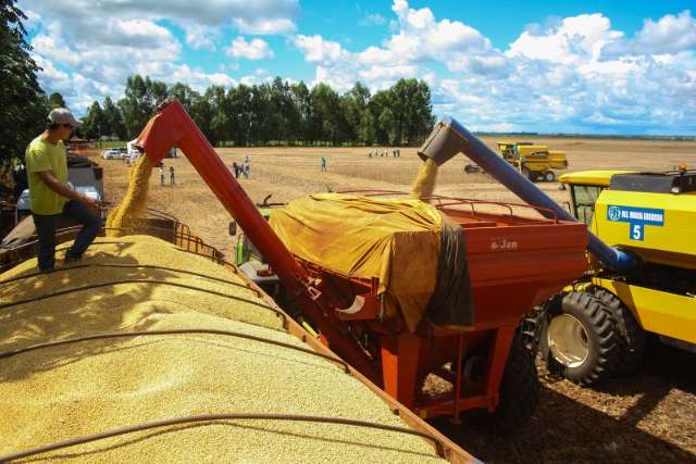 Produtores adiantam comercializa&ccedil;&atilde;o da soja, mas negociam apenas 12% do previsto