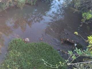 Córrego onde a vítima caiu nesta manhã (Foto: Bruna Pasche)