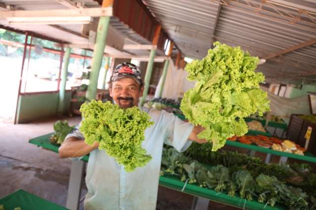 Com tudo caro, comprar verduras direto da horta ajuda a economizar