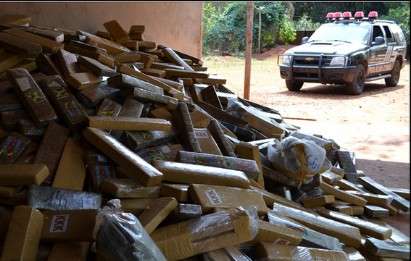 Den&uacute;ncia leva pol&iacute;cia a mais de 1,5 tonelada de maconha no Nova Lima 