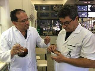 Professor Adilson Beatriz (esquerda) e professor Denis (direita) são os responsáveis pelo desenvolvimento da pesquisa (Foto: divulgação)