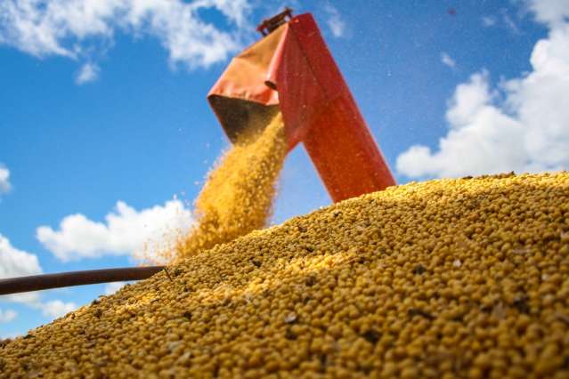 Produtores de soja e milho n&atilde;o ter&atilde;o como armazenar 40% da produ&ccedil;&atilde;o
