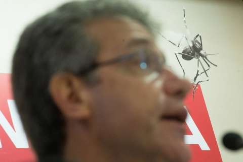 Brasil tem 340 municípios em situação de risco para dengue e chikungunya